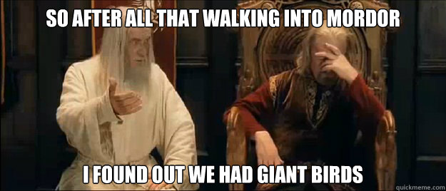 So after all that walking into Mordor I found out we had giant birds  Annoyed Gandalf