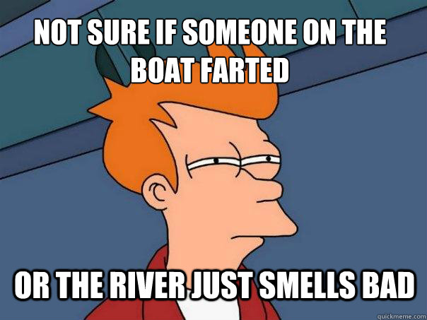 Not sure if someone on the boat farted or the river just smells bad  Futurama Fry