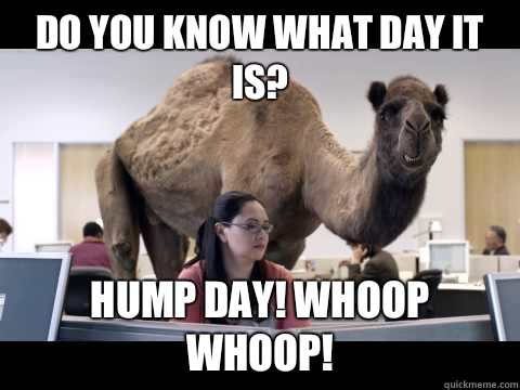 Do you know what day it is? Hump day! Whoop whoop!  - Do you know what day it is? Hump day! Whoop whoop!   Hump Day Camel