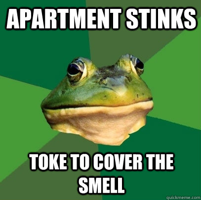 Apartment stinks Toke to cover the smell  Foul Bachelor Frog