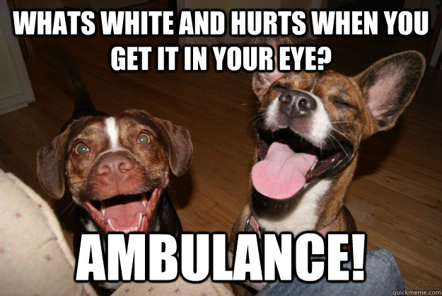 whats white and hurts when you get it in your eye? AMbulance!  Clean Joke Puppies