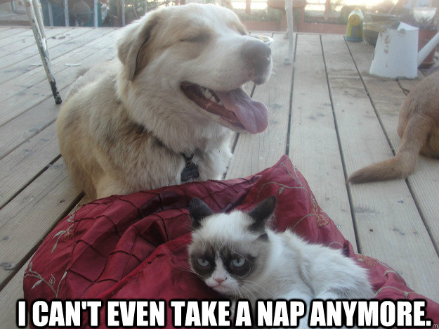 I can't even take a nap anymore.   