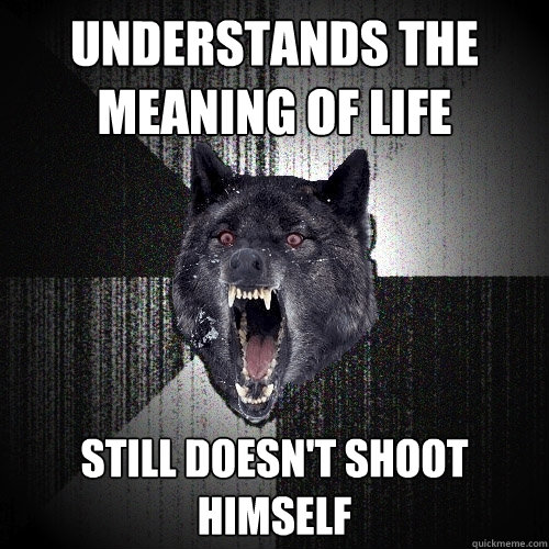 Understands the meaning of life still doesn't shoot himself  Insanity Wolf