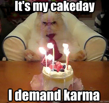 It's my cakeday I demand karma  Cake Day Cat