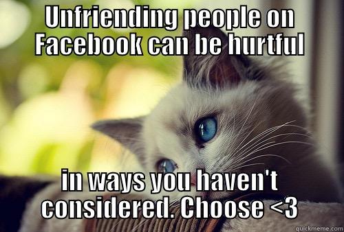 UNFRIENDING PEOPLE ON FACEBOOK CAN BE HURTFUL IN WAYS YOU HAVEN'T CONSIDERED. CHOOSE <3 First World Problems Cat
