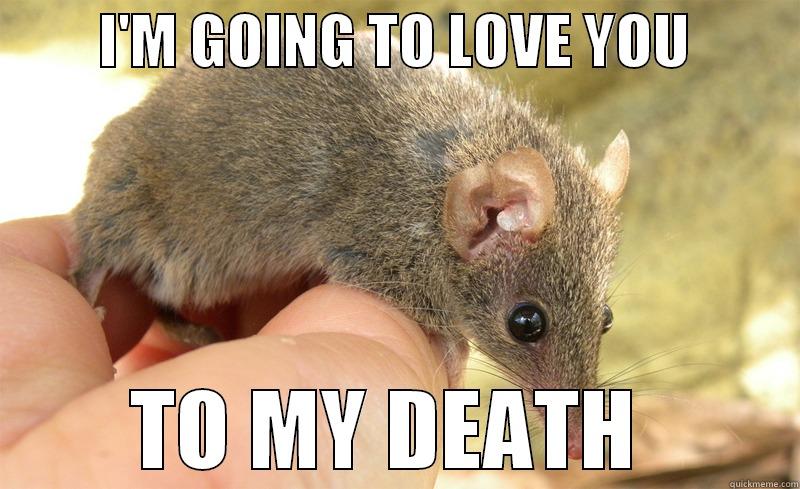         I'M GOING TO LOVE YOU            TO MY DEATH    Misc