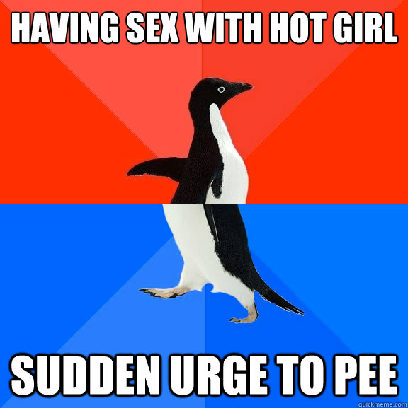 Having sex with hot girl sudden urge to pee  Socially Awesome Awkward Penguin