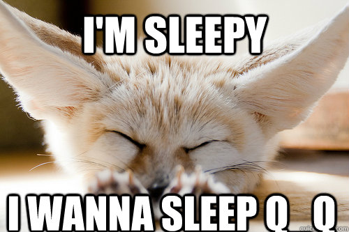 i'm sleepy i wanna sleep Q_Q - Sleepy Fennec Fox - quickmeme.