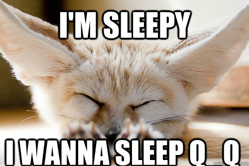 i'm sleepy i wanna sleep Q_Q - i'm sleepy i wanna sleep Q_Q  Sleepy Fennec Fox