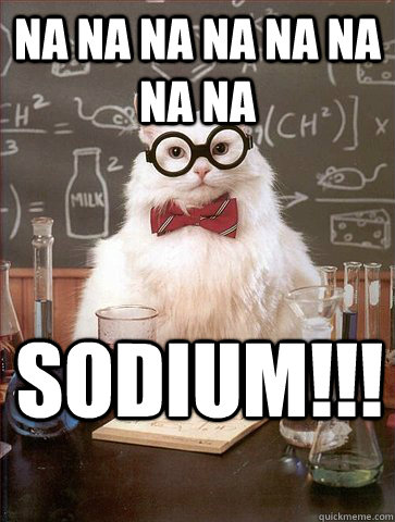 NA NA NA NA NA NA NA NA SODIUM!!!  Science Cat