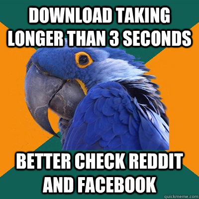 Download taking longer than 3 seconds Better check Reddit and Facebook  Paranoid Parrot
