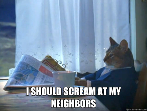  I should scream at my neighbors  The One Percent Cat