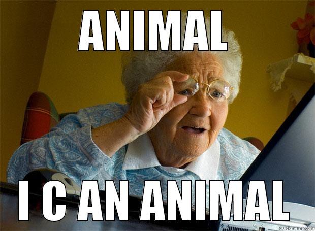 ANIMAL I C AN ANIMAL Grandma finds the Internet