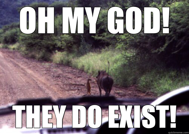 OH MY GOD! THEY DO EXIST!  real lion king