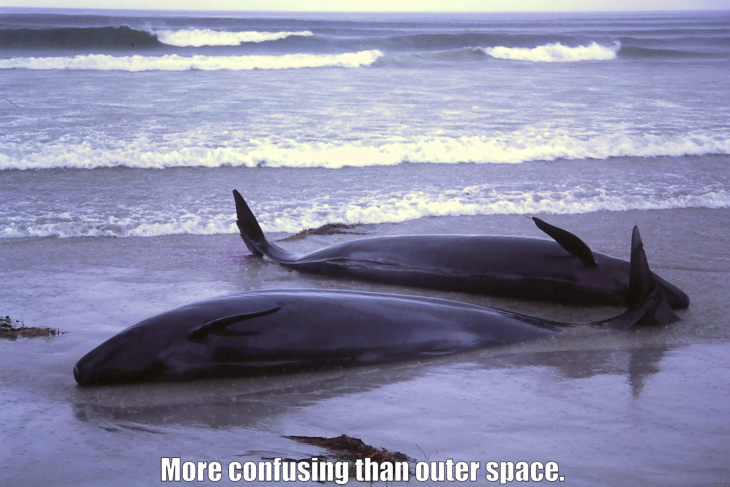 Beached whales...WTF?! -  MORE CONFUSING THAN OUTER SPACE. Misc