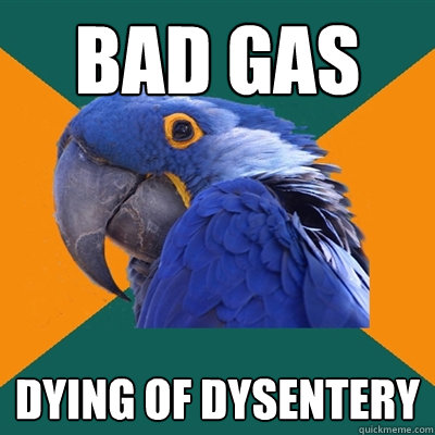 bad gas dying of dysentery  Paranoid Parrot