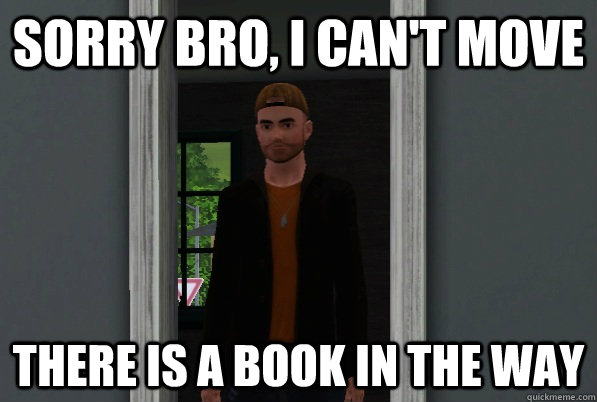 sorry bro, i can't move there is a book in the way - sorry bro, i can't move there is a book in the way  Scumbag Sim