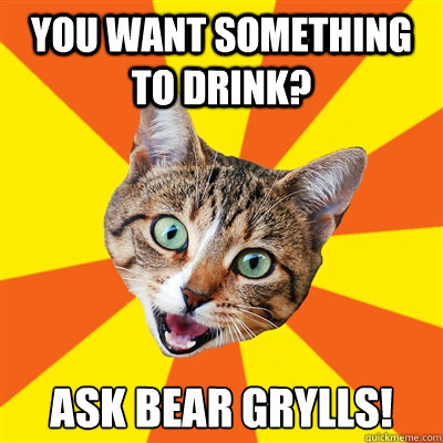 You want something to drink? ask Bear Grylls!   Bad Advice Cat