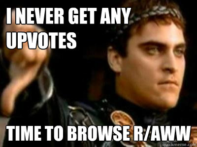 I never get any upvotes time to browse r/aww  Downvoting Roman