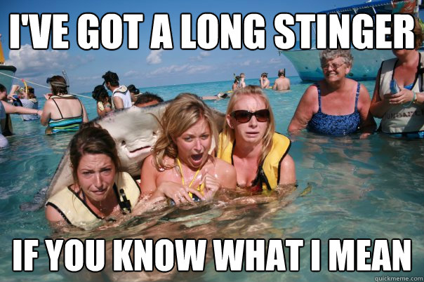 I've got a long stinger if you know what I mean  Pervert Stingray