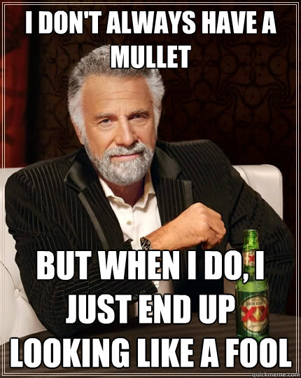I don't always have a mullet But when I do, i just end up looking like a fool  The Most Interesting Man In The World