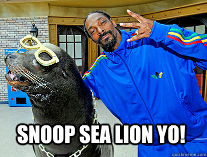 snoop sea lion yo!  