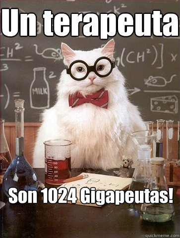 Un terapeuta Son 1024 Gigapeutas!  Chemistry Cat
