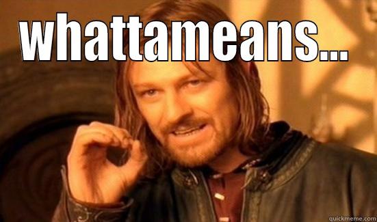 WHATTAMEANS...  Boromir