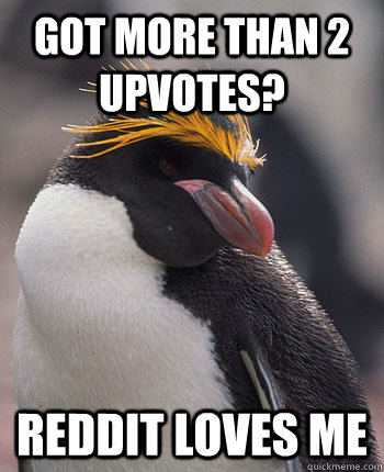 got more than 2 upvotes? reddit loves me  Socially Overconfident Penguin