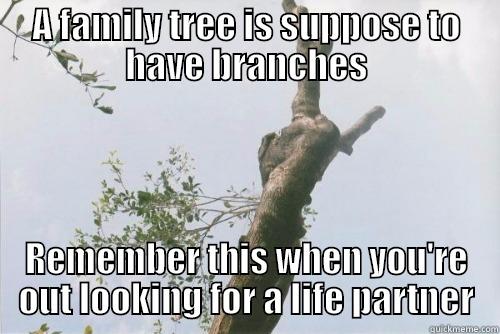 Redneck Family Tree - A FAMILY TREE IS SUPPOSE TO HAVE BRANCHES REMEMBER THIS WHEN YOU'RE OUT LOOKING FOR A LIFE PARTNER Misc