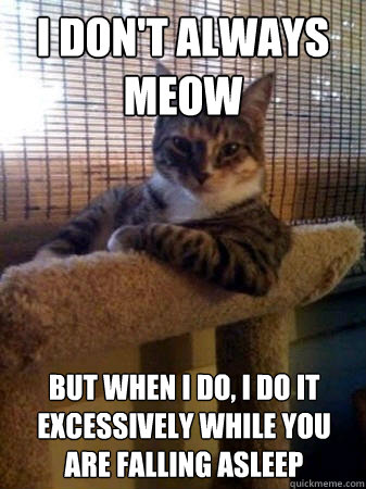 I don't always meow but when I do, i do it excessively while you are falling asleep  The Most Interesting Cat in the World