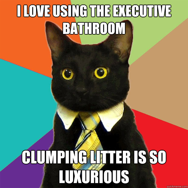 I love using the executive bathroom Clumping litter is so luxurious  Business Cat