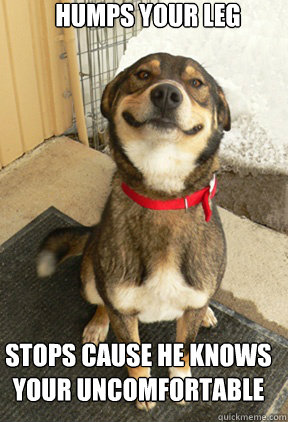 humps your leg stops cause he knows your uncomfortable  - humps your leg stops cause he knows your uncomfortable   Good Dog Greg