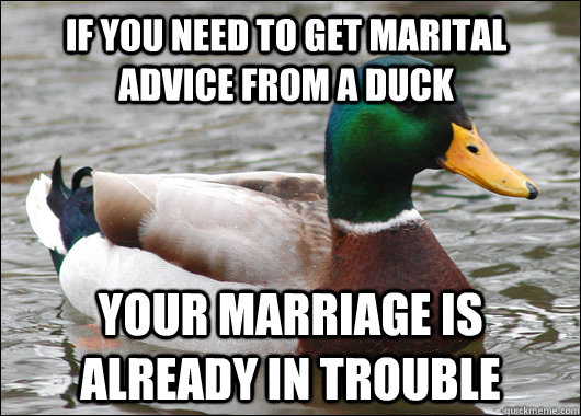if you need to get marital advice from a duck your marriage is already in trouble  Actual Advice Mallard
