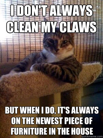 I don't always clean my claws but when I do, it's always on the newest piece of furniture in the house  The Most Interesting Cat in the World