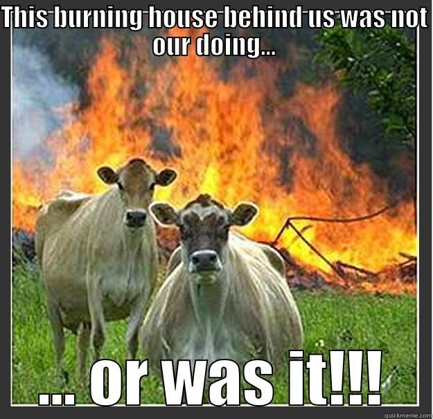 Not us? - THIS BURNING HOUSE BEHIND US WAS NOT OUR DOING... ... OR WAS IT!!! Evil cows