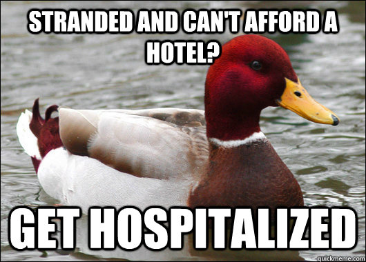 Stranded and can't afford a hotel? Get hospitalized  Malicious Advice Mallard