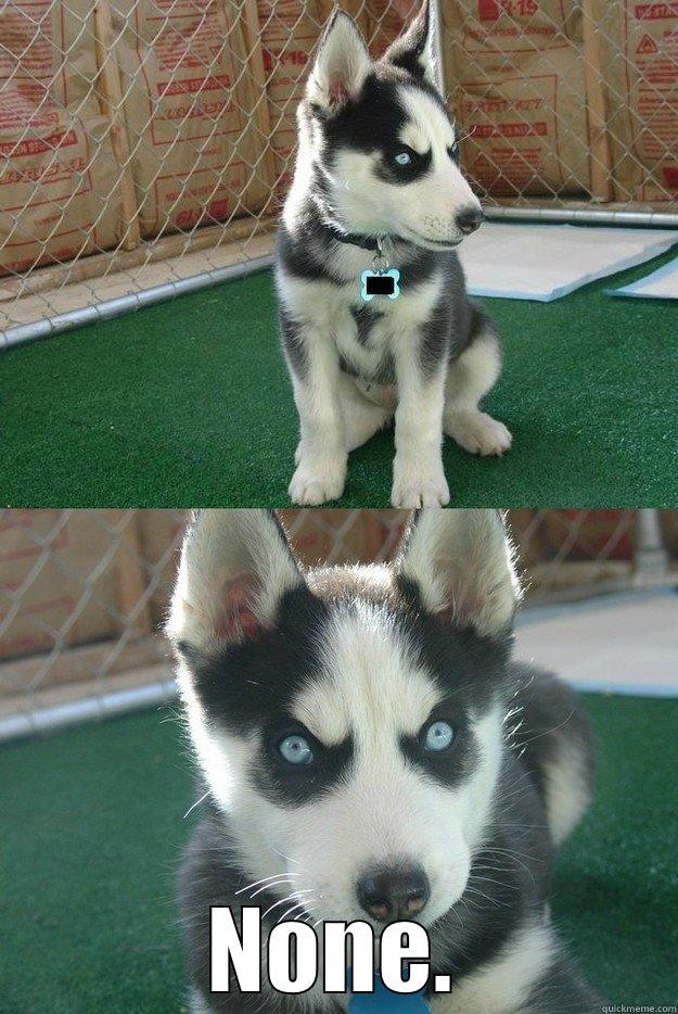  NONE. Insanity puppy