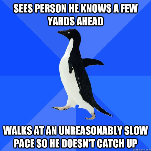 Sees person he knows a few yards ahead walks at an unreasonably slow pace so he doesn't catch up  Socially Awkward Penguin