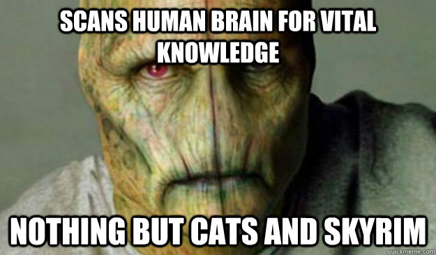 scans human brain for vital knowledge nothing but cats and skyrim  Other World Problems