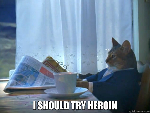  i should try heroin  The One Percent Cat