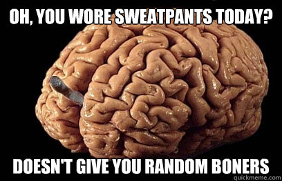 Oh, you wore sweatpants today? Doesn't give you random boners  Good Guy Brain