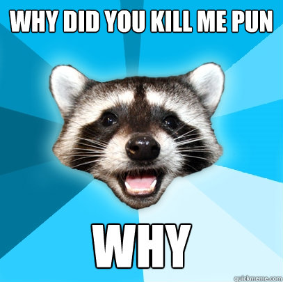why did you kill me pun why  Lame Pun Coon
