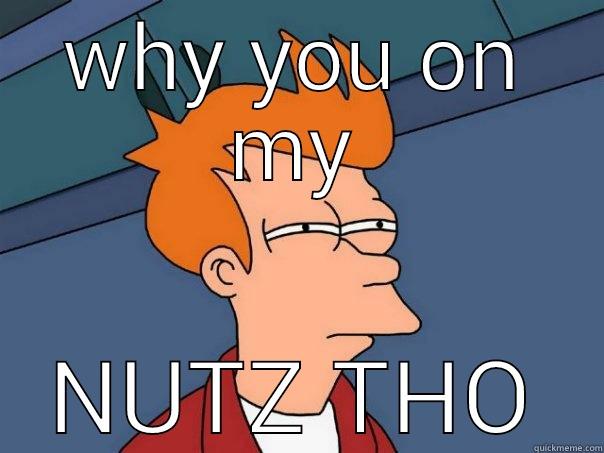 WHY YOU ON MY NUTZ THO Futurama Fry