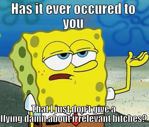 HAS IT EVER OCCURED TO YOU THAT I JUST DON'T GIVE A FLYING DAMN ABOUT IRRELEVANT BITCHES? Tough Spongebob
