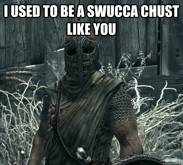 I used to be a Swucca chust like you   Skyrim Guard