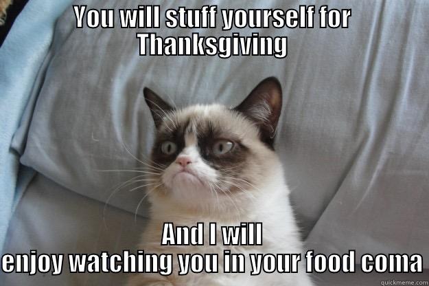 YOU WILL STUFF YOURSELF FOR THANKSGIVING AND I WILL ENJOY WATCHING YOU IN YOUR FOOD COMA Grumpy Cat
