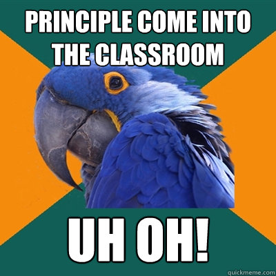 Principle come into the classroom Uh oh!  Paranoid Parrot