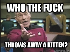 who the fuck throws away a kitten?  Annoyed Picard