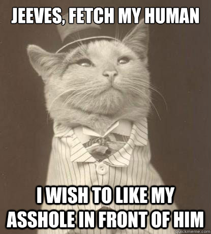 Jeeves, fetch my human I wish to like my asshole in front of him - Jeeves, fetch my human I wish to like my asshole in front of him  Aristocat